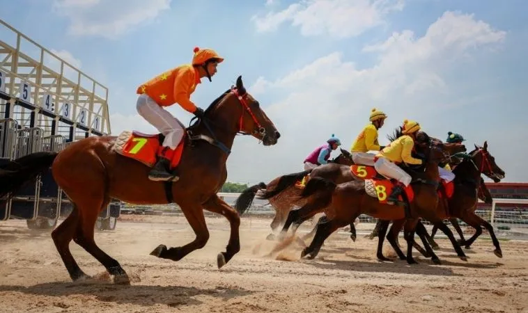 Thống Lĩnh Đường Đua Cùng Cá Cược Đua Ngựa WW88 Rinh Thưởng Lớn 1 Đua Ngựa WW88